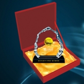 2015年1月；打造中科院下設企業(yè)國云科技魯班獎純金獎牌定制