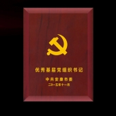 2015年10月設(shè)計制作　安康市委表彰優(yōu)秀共產(chǎn)黨員功勛章設(shè)計制作