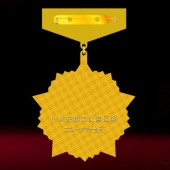 2016年6月定制　漢濱區(qū)委組織部優(yōu)秀黨務工作者勛章