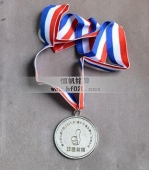 項目獎牌,項目獎?wù)?項目銀牌,項目勛章