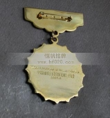 新疆自冶區(qū)十大杰出青年獎(jiǎng)?wù)?杰出青年勛章