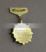 杰出貢獻人物獎牌,杰出貢獻人物獎?wù)?杰出貢獻人物勛章